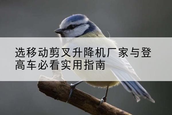 长丰电动升降机厂家-选移动剪叉升降机厂家与登高车必看实用指南