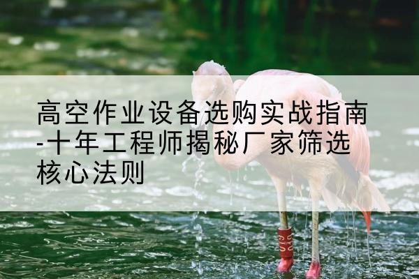 长丰剪叉式升降机厂家-高空作业设备选购实战指南-十年工程师揭秘厂家筛选核心法则