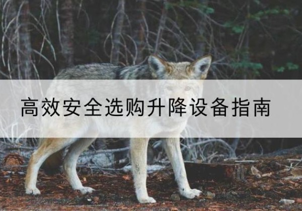 长丰升降货梯厂家推荐-*安全选购升降设备指南