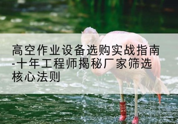 长丰剪叉式升降机厂家-高空作业设备选购实战指南-十年工程师揭秘厂家筛选核心法则